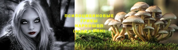 2c-b Алзамай
