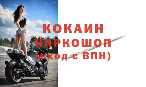 индика Михайлов