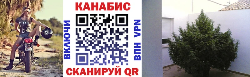Бошки Шишки MAZAR  Белгород 